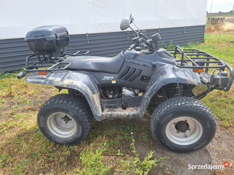 Quad Linhai napęd 2x4 Rok produkcji 2005 wielkopolskie Pleszew