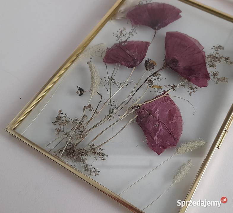 Obraz Kwiatowy Kompozycja Wspomnienie lata Maki Antyki, Sztuka, Kolekcje Rotmanka