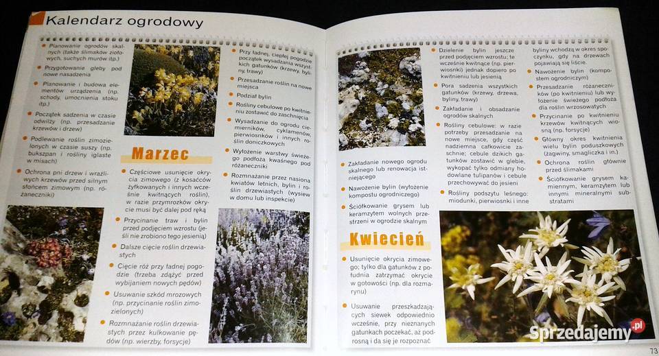 Ogród skalny Peter Himmelhuber miękka sprzedam