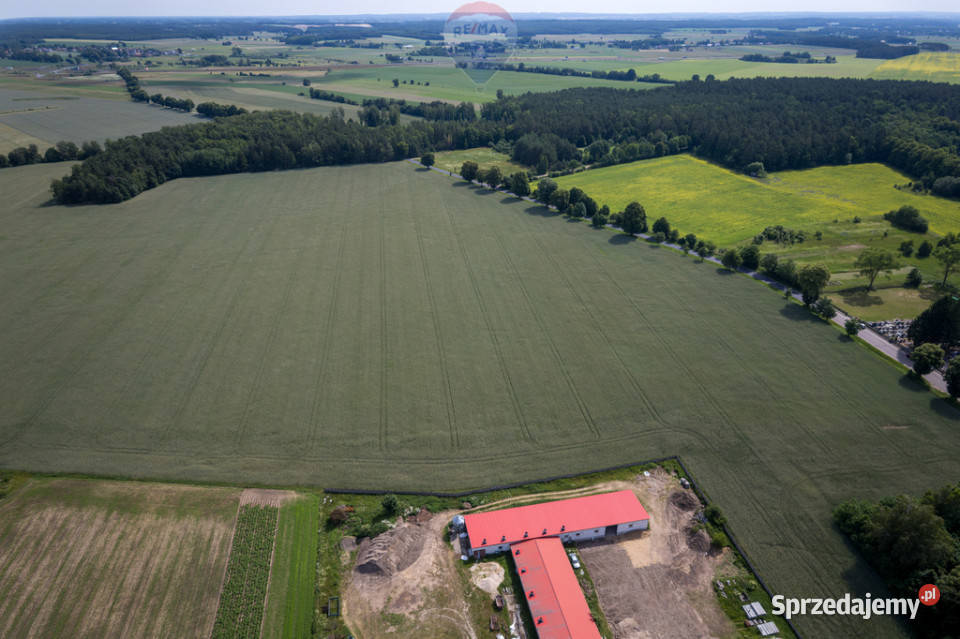 901 ha MPZP produkcja logistyka 1 S7 Białuty