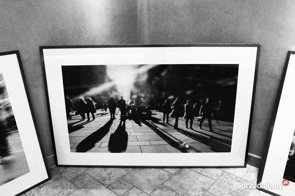 Komplet pięknych fotografii w metalowych ramach Pszczyna