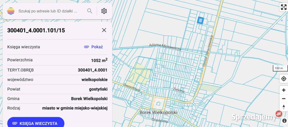 Działka z warunkami zabudowy Borek Wielkopolski