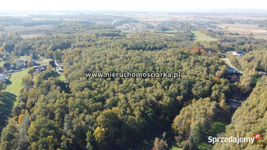 Grunt 15421m2 Czyżowice utwardzona Sprzedaż