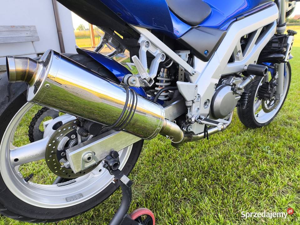 Suzuki SV 650 2004 Delkevic śląskie
