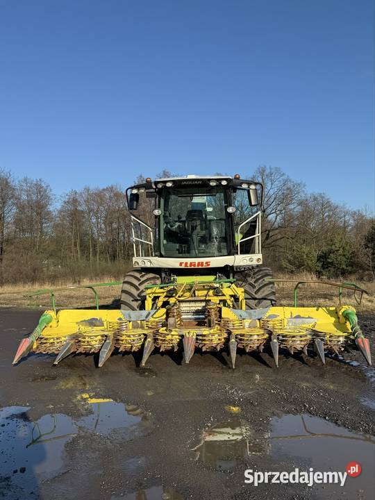 Sieczkarnia Claas Jaguar 950 Szczerców