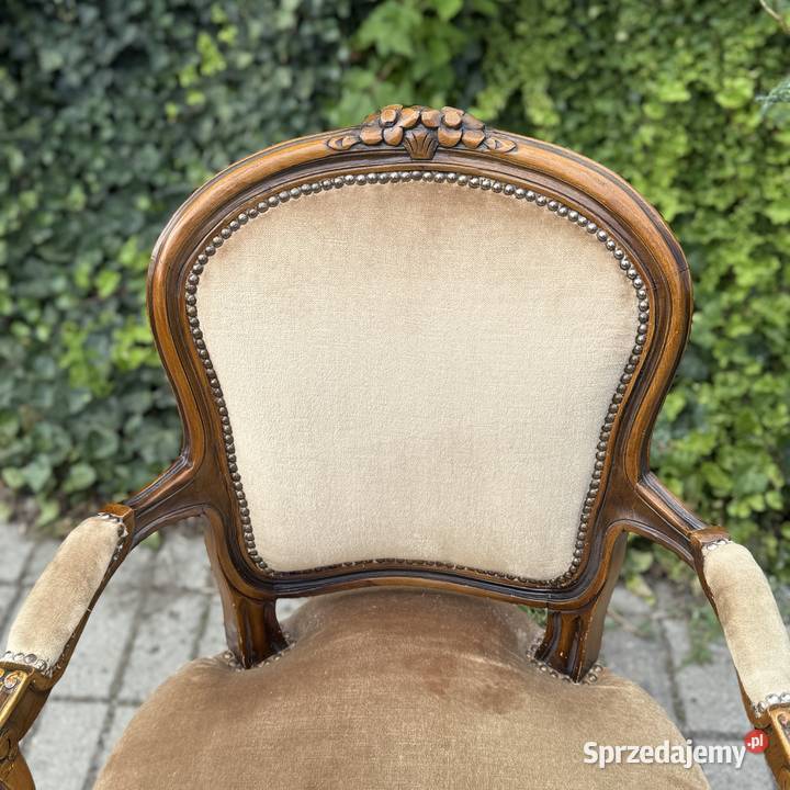ARTexpert Wygodny Pałacowy fotel Ludwik welur Dobrzany