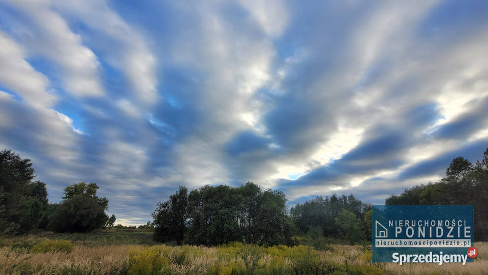 Działka rekreacyjna Łatanice kBuskaZdroju 6zł/m2