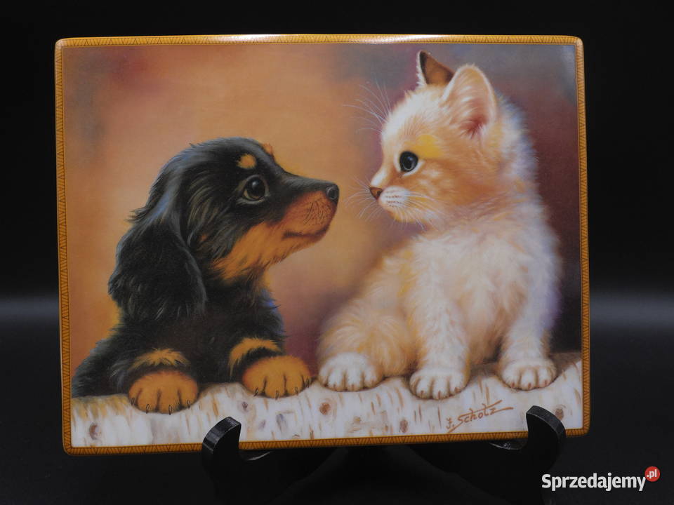 Obraz na porcelanie kot pies Bradford autor J Raszków