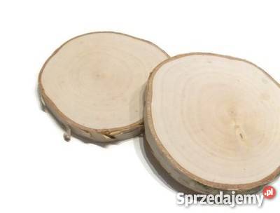 Plastry drewniane krążki drewna brzoza 1417 śląskie Rybnik