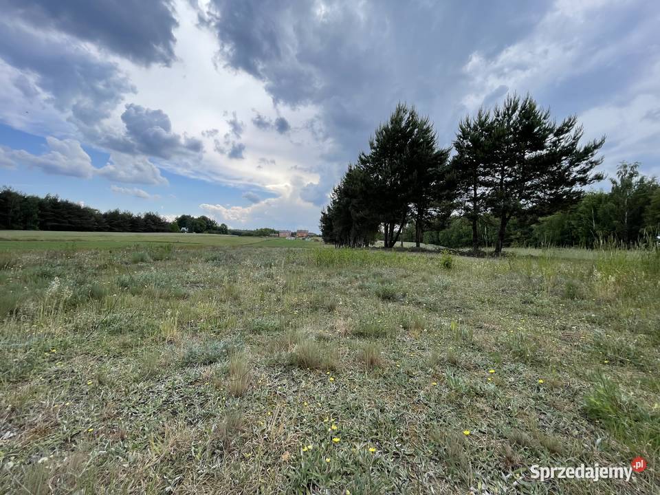Działka z możliwością budowy domu 30 arów Sprzedaż Osiny sprzedam