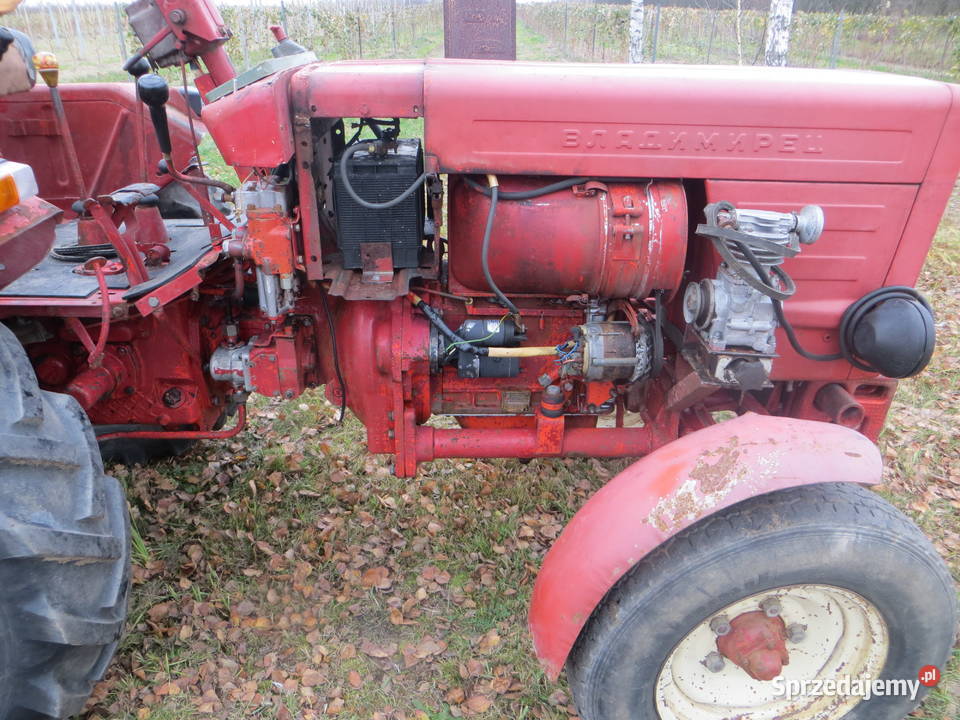 Władymirec T25A1 Idalin sprzedam