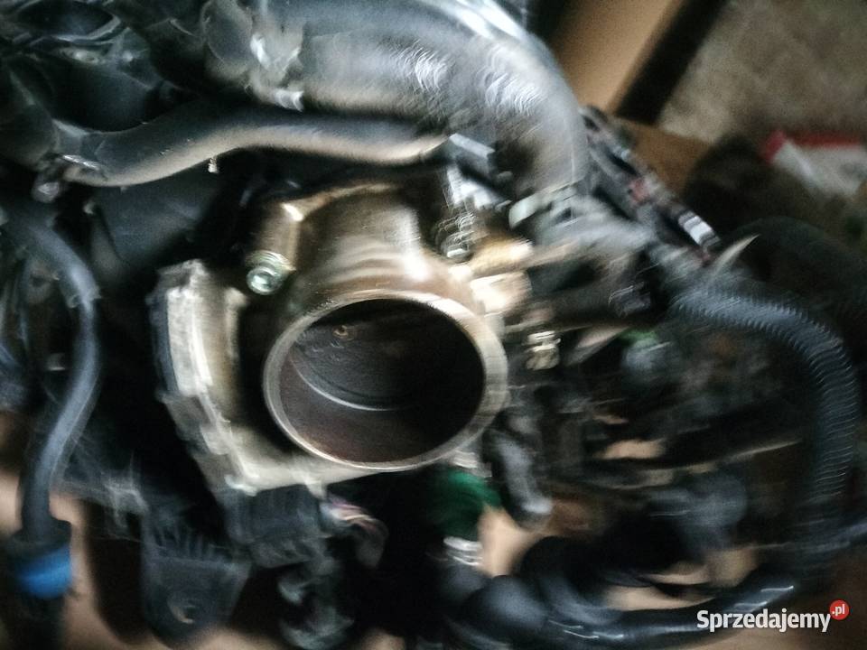 Komplet głowic i wałków rozrządu audi A6 C5 24 Blizocin