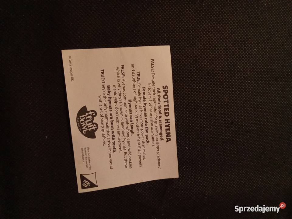 Naklejka hiena national geographic kids Warszawa