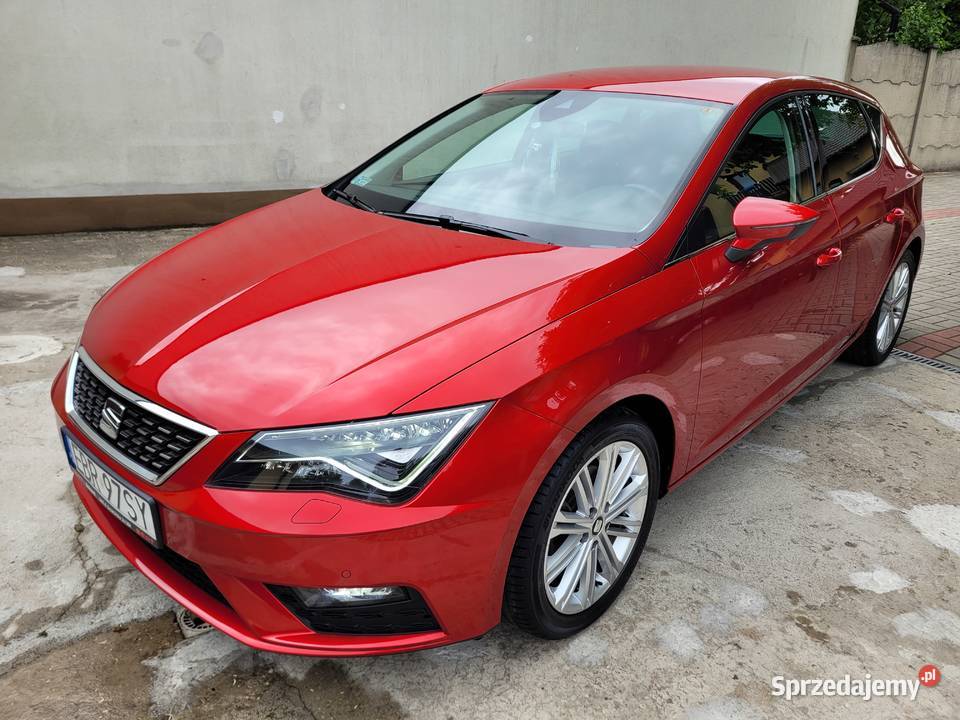 Bezwypadkowy Krajowy Xcellence Stan autoalarm Zawiercie