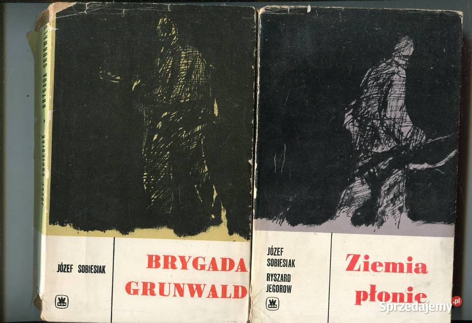 Burzany Brygada Grunwald Ziemia płonie Sobiesiak Szczecin