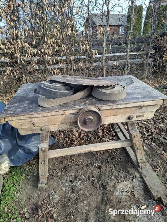 Krajzega cyrkulatka Majdanek