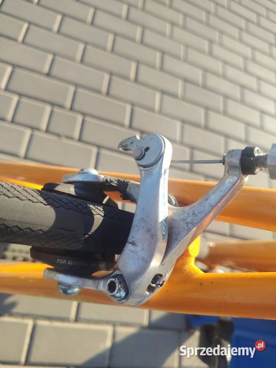 Rower szosowy Gazelle Primavera 58 Shimano Sora Brzozów