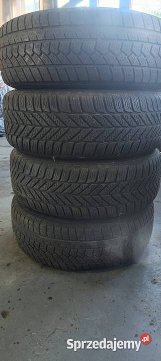 Vw caddy 1956515 koła warmińsko-mazurskie Elbląg