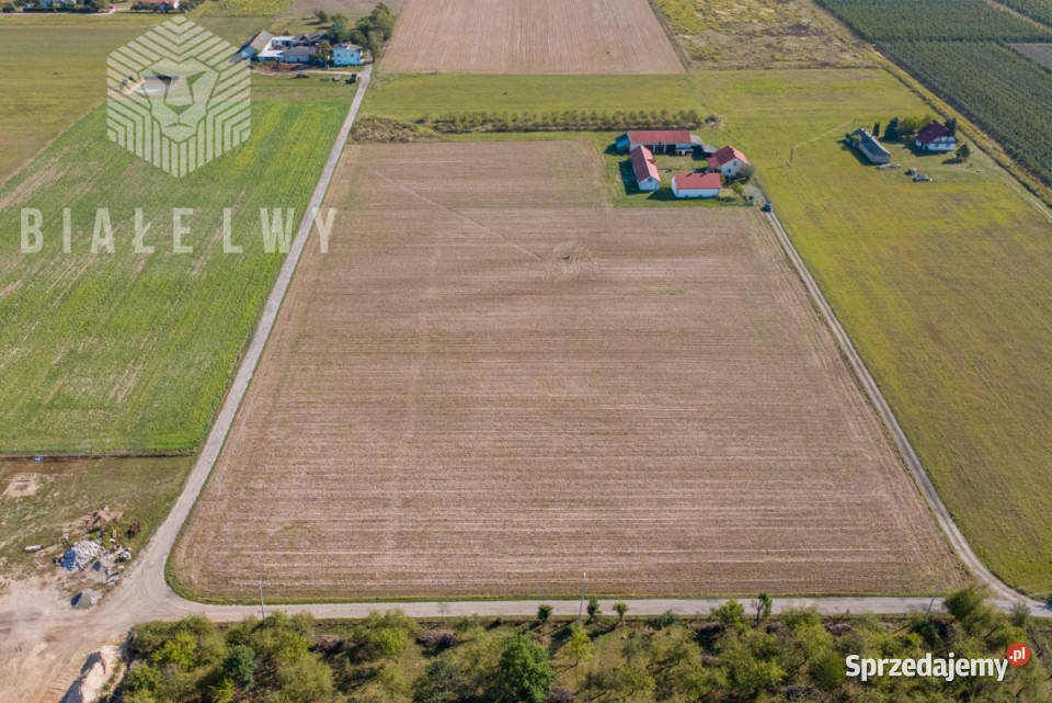 Grunt 1000m2 Prażmów