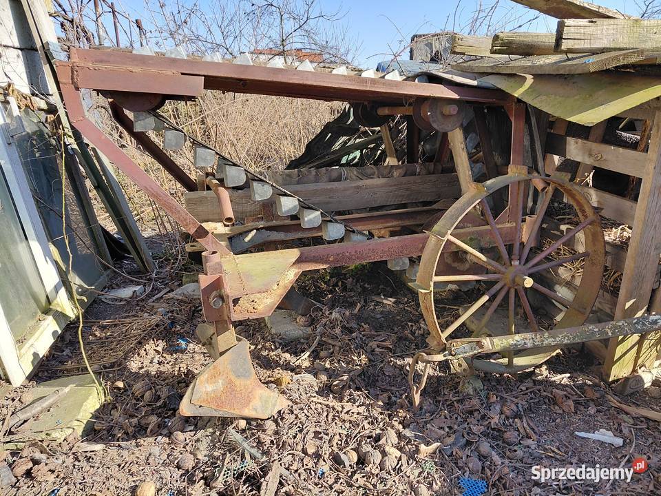 Sadzarka do ziemniaków Wieluń