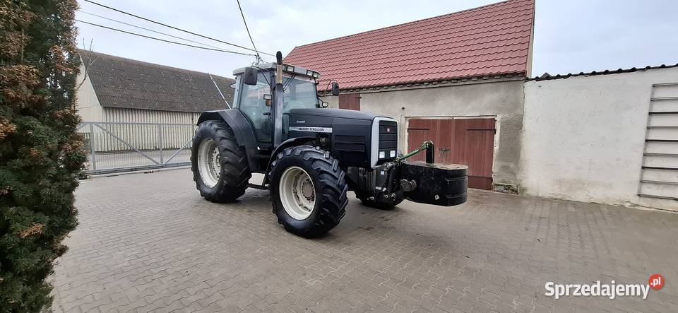 Massey Ferguson 8140 dynashift Rolnictwo Żmigród