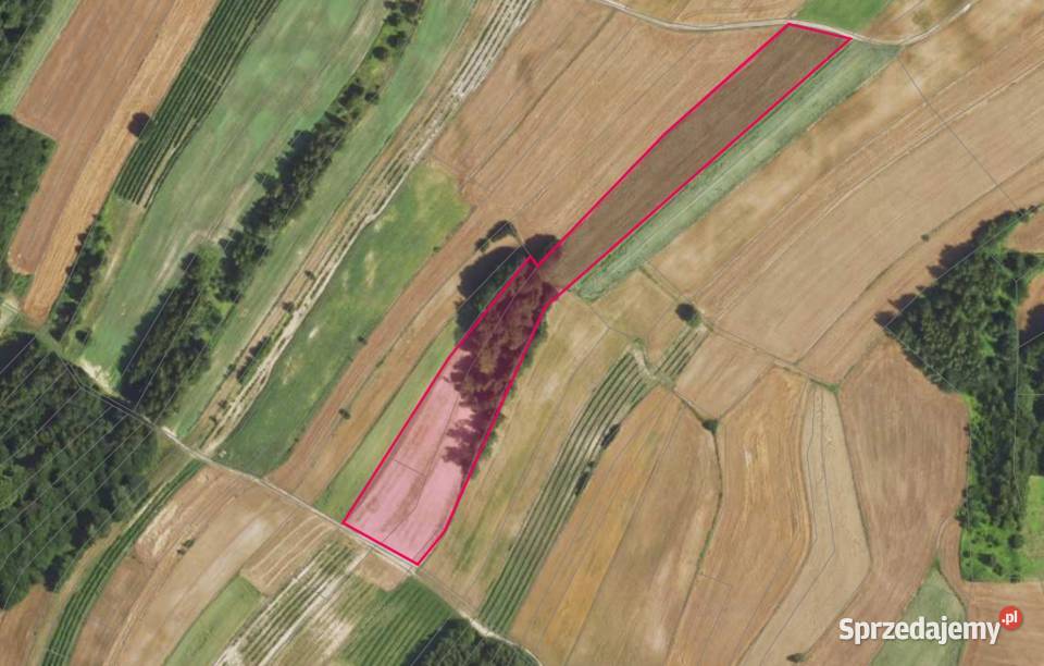 Działka rolna 1 ha z lasem 30 arów w jednym Tokary sprzedam