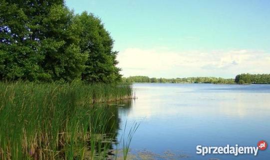 Działka budowlana w pobliżu jeziora Grunty i działki kujawsko-pomorskie Skoki Małe
