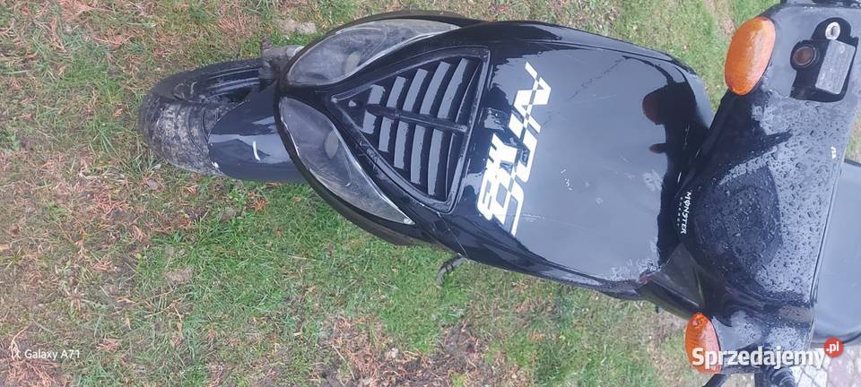 Piaggio Nrg 2t 50 1KM Konina