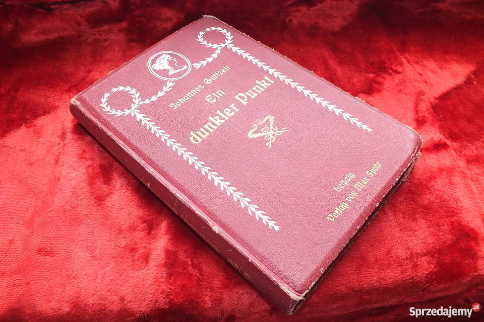 Stara książka Ginekologi Ein dunkler punkt 1907 Żary