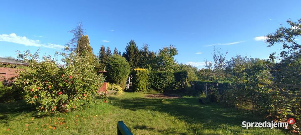 Działka ROD Konwalia Pyskowice