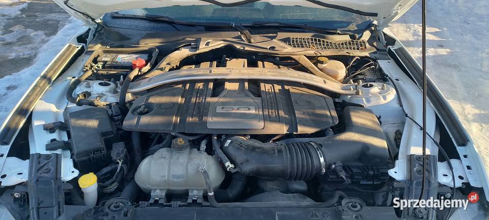 Ford Mustang GT 50 V8 Convertible kabriolet Tarnów