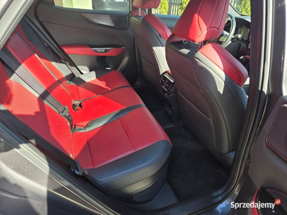 Lexus nx450h salon polska małopolskie Chełmek