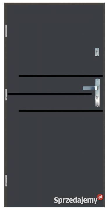 Drzwi wejściowe do domu Zewnętrzne GA20 BLACK Ciemniewo