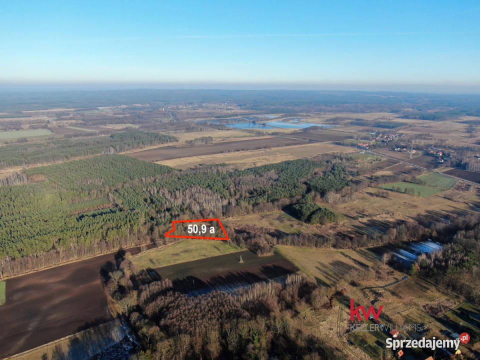 Sprzedam grunt 5090m2 Kuźniczysko