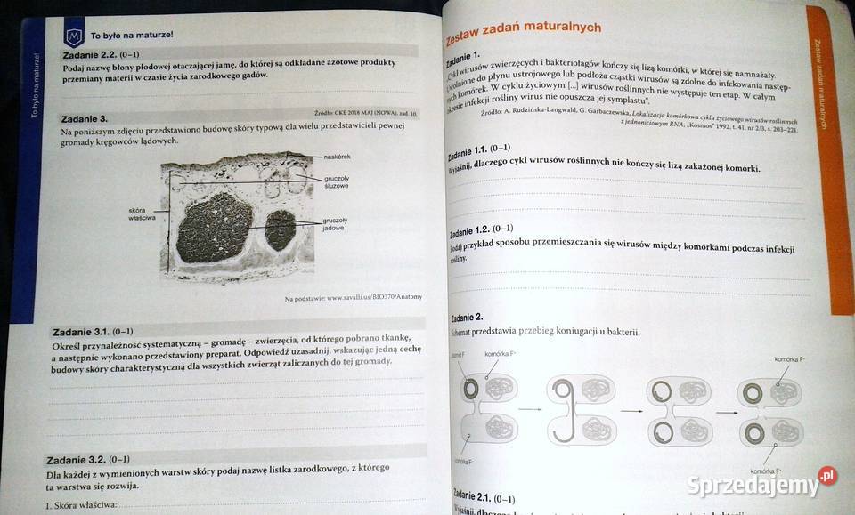 Biologia na czasie 2 Maturalne karty pracy D Chełm