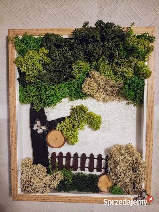 Zielono mi Tryptyk z mchu Obrazy wykonane z pomorskie