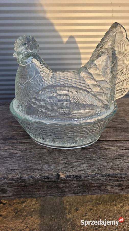 Duża kura prl podlaskie Ciechanowiec sprzedam