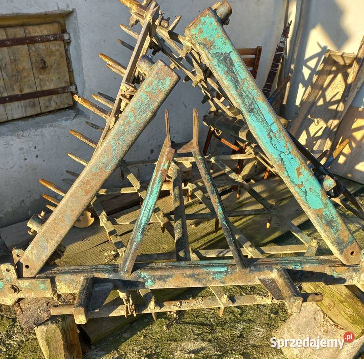 Brony małopolskie Bochnia sprzedam