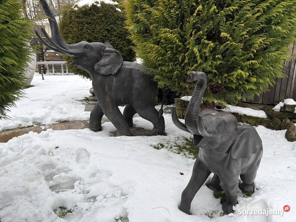 Słoń słonie z brązu duże i solidne Długopole-Zdrój