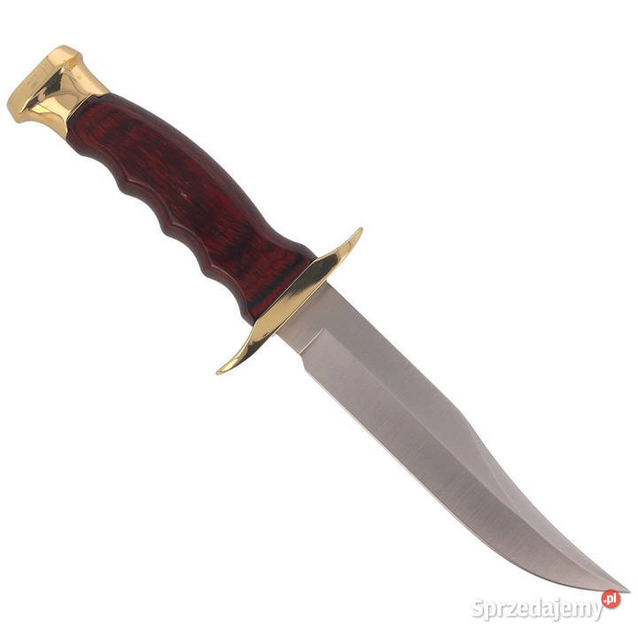 Nóż Muela BW14 Pakka Wood Satin X50CrMoV15 mazowieckie Warszawa