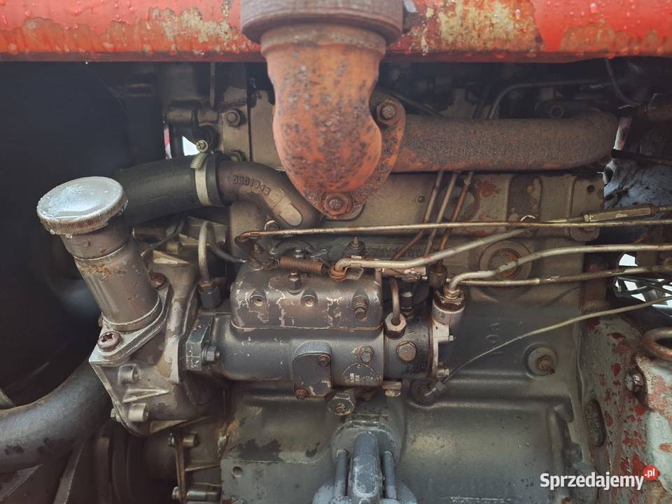 massey ferguson 148 Ferguson Nowogrodziec sprzedam