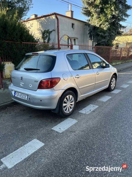 PEUGEOT 307 16 benzyna 2003 wspomaganie srebrny Zgierz