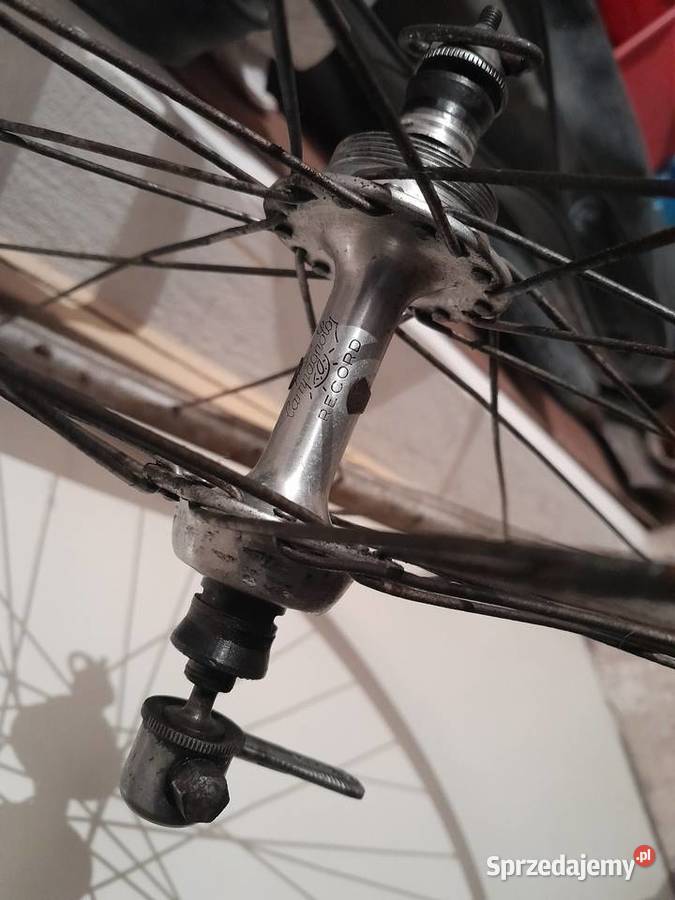 Koło tylne27 z piasta campagnolo rekord Sierpów