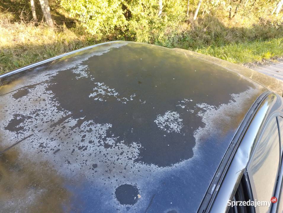 Sprzedam BMW E39 25 tds M5 świętokrzyskie Oblęgór sprzedam