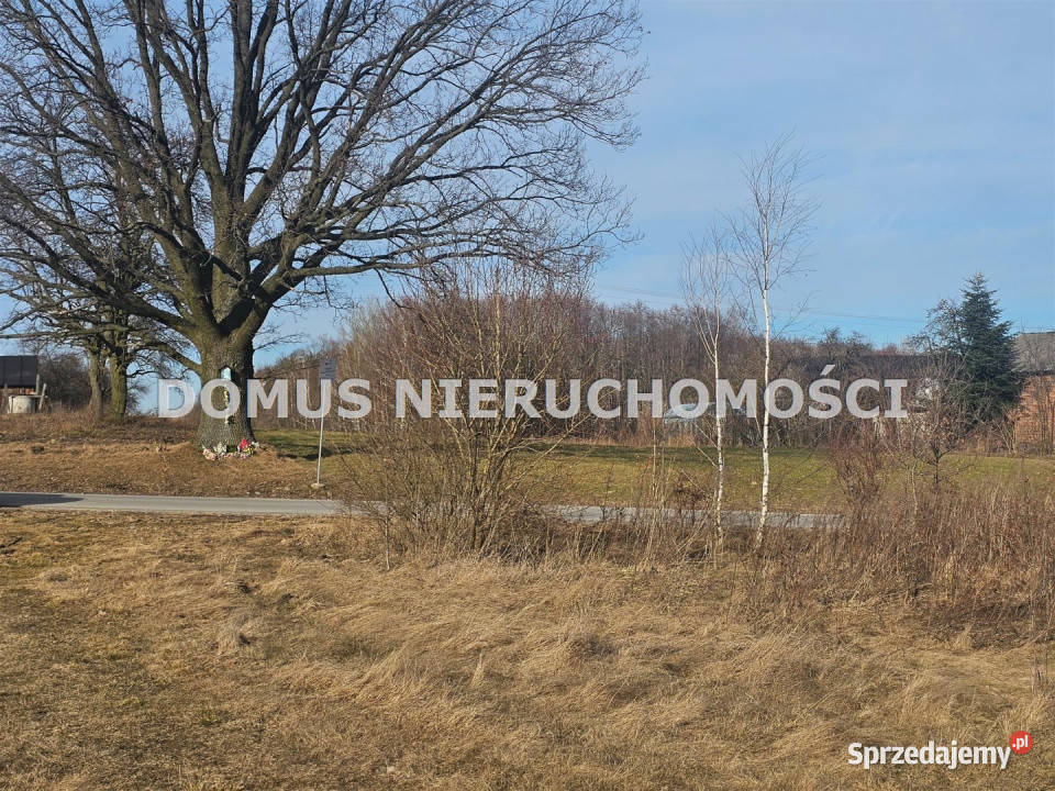 Grunt Polik 4500m2 szambo Sprzedaż