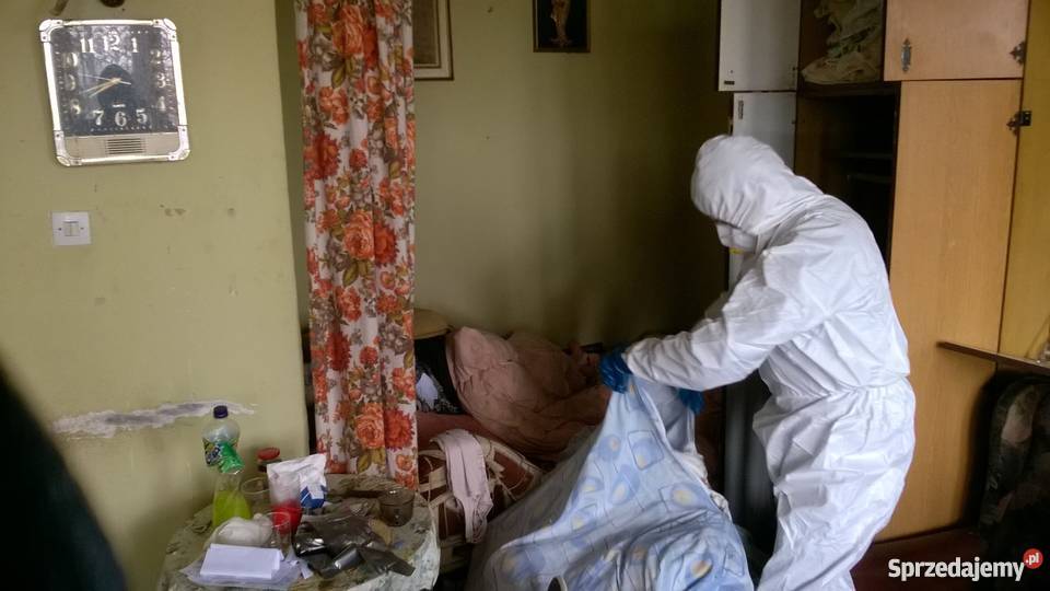 Wywóz Mebli Opróżnianie Mieszkań Szybka Obsluga Łódź