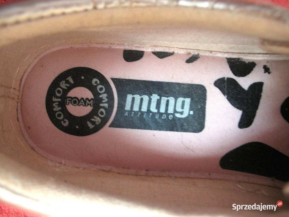 Buty sportowe rozmiar 40 wkładka 245