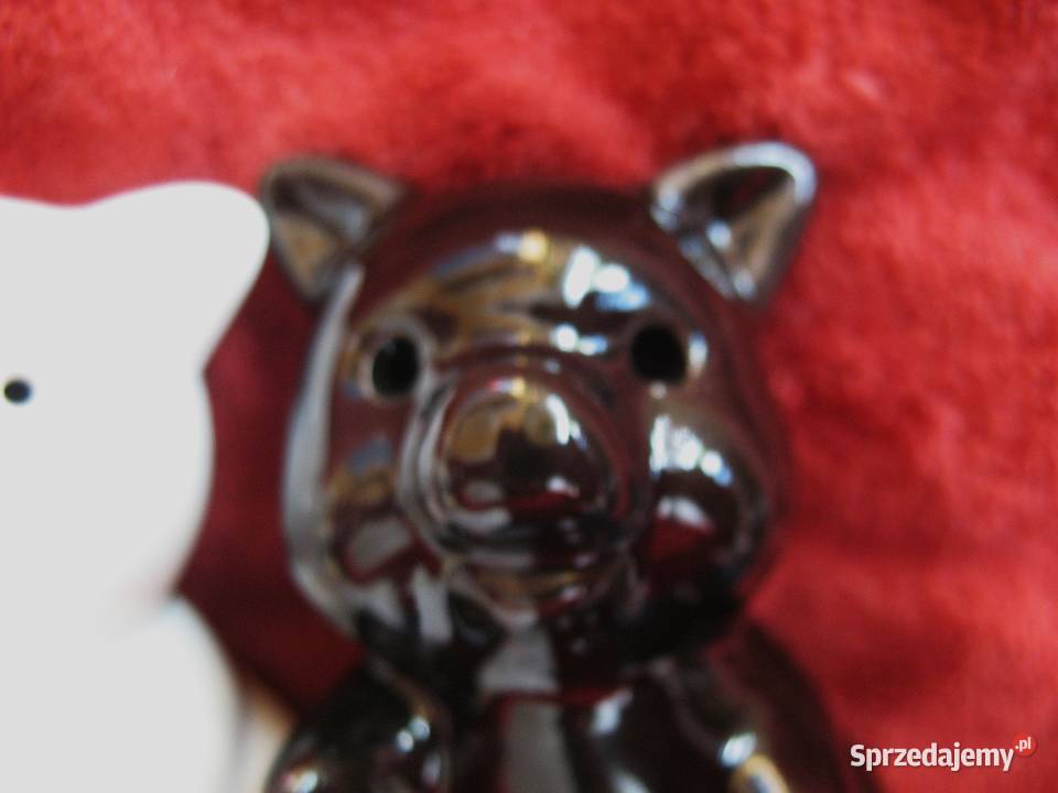 Pieprz i sól Świnki Pieprzniczka Solniczka mazowieckie