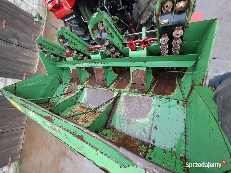 Sadzarka 4 rzędowa Hassia 4x75 Chojnice