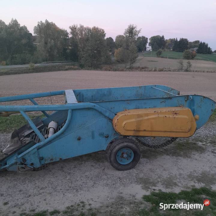Kopaczka elewatorowa do ziemniaków Izbica